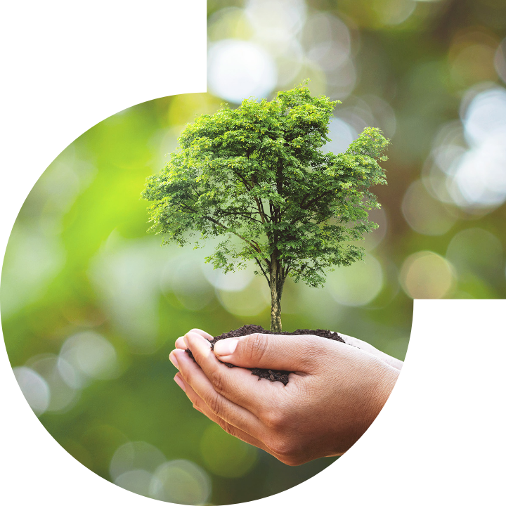 关怀人类、文化、环境与社会